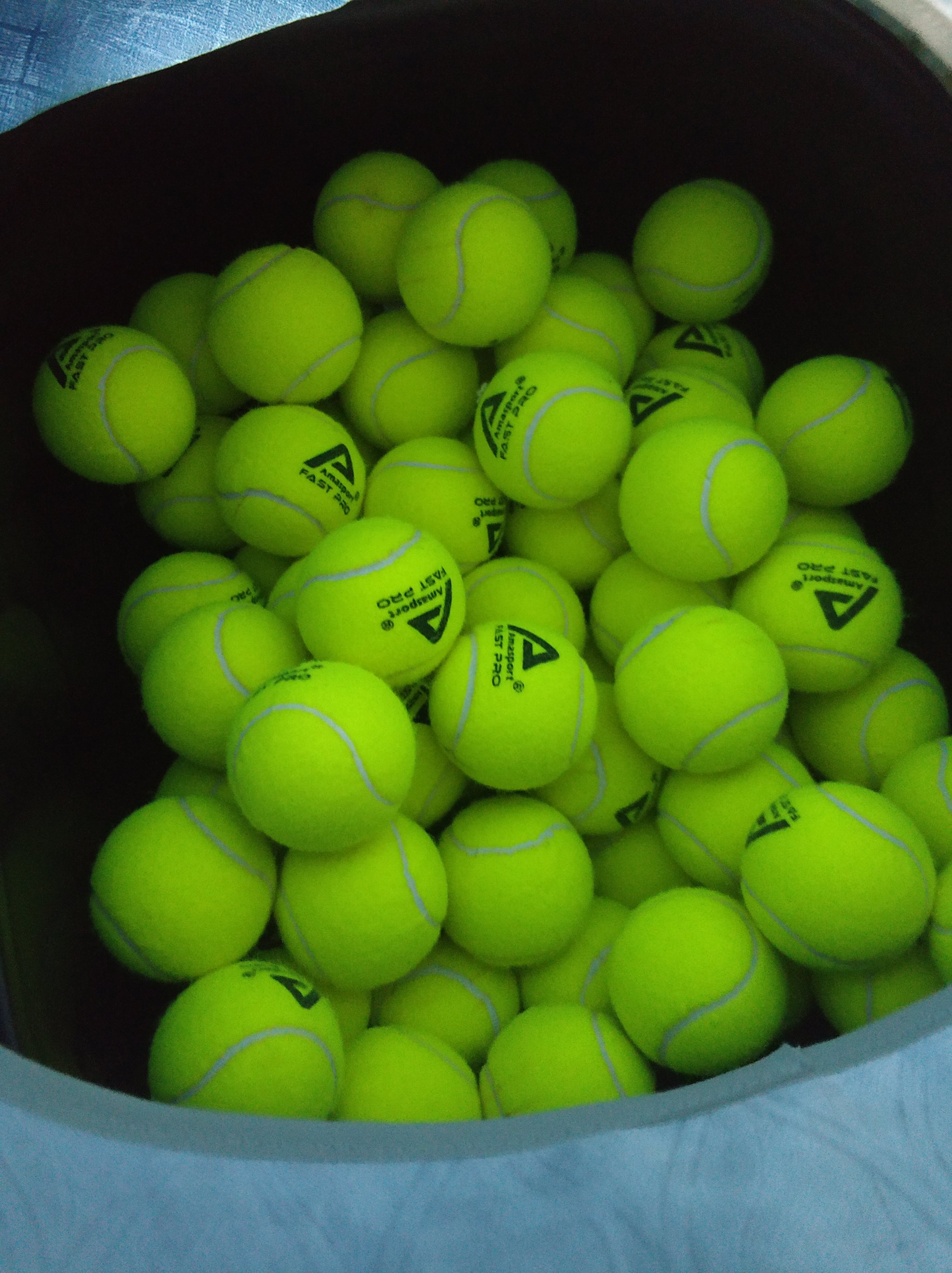 的夺冠机会 的夺冠机会